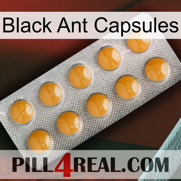 Black Ant Capsules levitra1.jpg